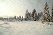Winterland