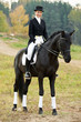 horsewoman jockey in uniform with horse