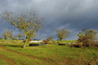 Foto: Rural landscape in winter Rural landscape in winter