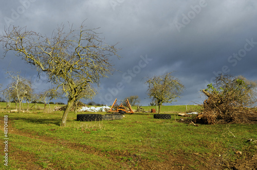 Photo: Rural landscape in winter Rural landscape in winter