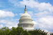 US Capitol building dome, Washington DC
