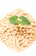 Soybean sprout isolated