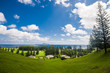 Norfolk Island 2013