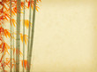 bamboo on old grunge antique paper texture