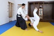 Demonstration of fighting art Aikido.