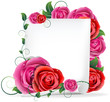 Roses and  paper
