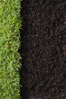 grass and dirt