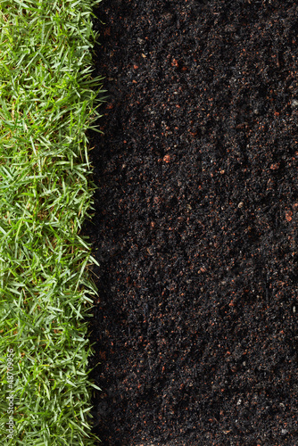 Photo: grass and dirt grass and dirt