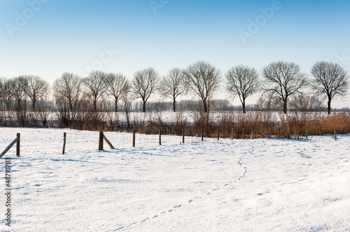Photo: Rural landscape in winter Rural landscape in winter