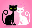 Vector: Black and white cat Black and white cat