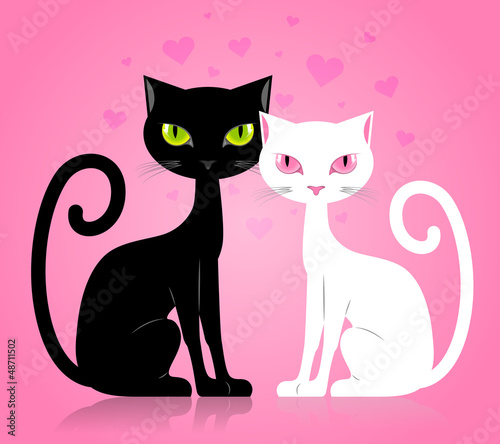 Vector: Black and white cat Black and white cat