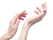 Photo: hands with red manicure hands with red manicure