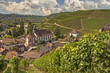 Foto: Durbacher Weinberge Durbacher Weinberge