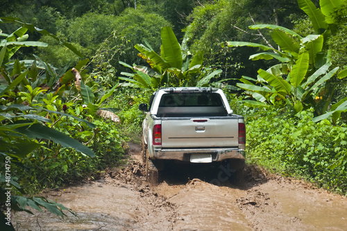 Photo: Adventure in the jungle Adventure in the jungle