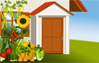 Vector: Vegetable garden Vegetable garden