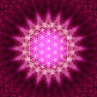 Blume des Lebens -  Energetisierung, Heilige Geometrie