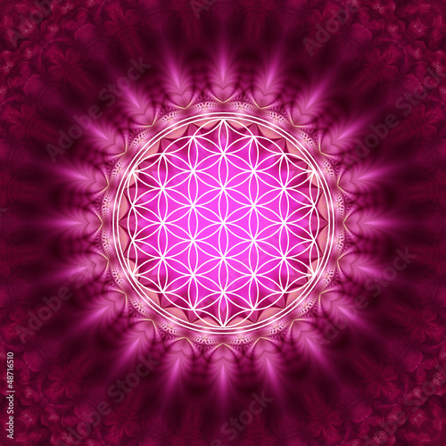 Illustration: Blume des Lebens - Energetisierung, Heilige Geometrie Blume des Lebens - Energetisierung, Heilige Geometrie