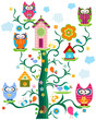 owl`s tree