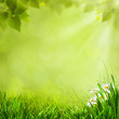 Summer natural backgrounds for your design