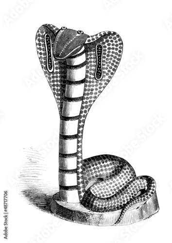 Illustration: Cobra Fantasy : handicraft - India Cobra Fantasy : handicraft - India