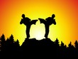 sparring - fight - in sunset