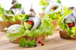 Fingerfood mit kleinen Rollmöpsen