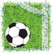 Ball on the field