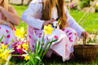 Children on Easter egg hunt with bunny