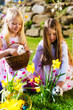 Children on Easter egg hunt with bunny
