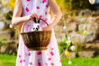 Child on Easter egg hunt with bunny