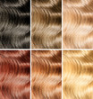 Hair tint samples set