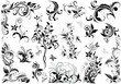 Vintage floral design elements