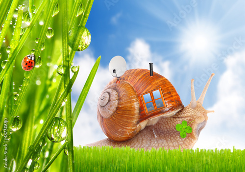 Photo: The snail with his mobil home on the trip. Travel concept. The snail with his mobil home on the trip. Travel concept.
