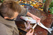 Photo: man cut up fish for cooking man cut up fish for cooking