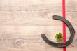 horseshoes with clover