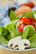 Grüner Salat