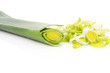 Leek.