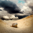 Marmot under sky