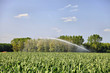 Wiese sprengen