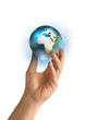 Protection Ecologique et Globe Protection Ecologique et Globe