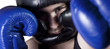 Boxer