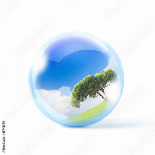 Photo: Green tree Green tree