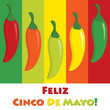 Cinco De Mayo!
