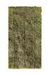 Seaweed Sheet