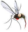 Fun mosquito