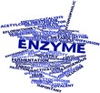 Word cloud for Enzyme