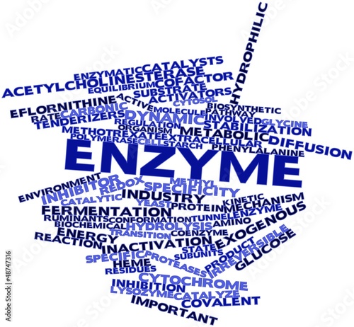 Illustration: Word cloud for Enzyme Word cloud for Enzyme