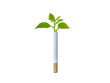 relationship of tree and cigarette