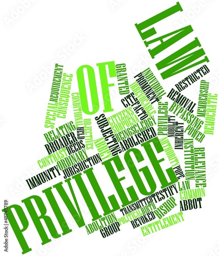 Illustration: Word cloud for Law of Privilege Word cloud for Law of Privilege