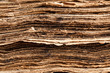 Closeup on old book